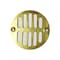 Thrifco Plumbing Polished Brass  Shower Drain Grill 4402202 - alternate 1